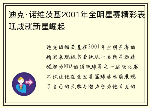 迪克·诺维茨基2001年全明星赛精彩表现成就新星崛起