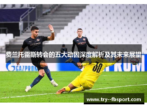 费兰托雷斯转会的五大动因深度解析及其未来展望