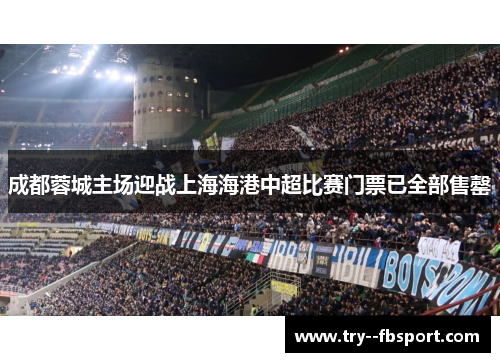 成都蓉城主场迎战上海海港中超比赛门票已全部售罄
